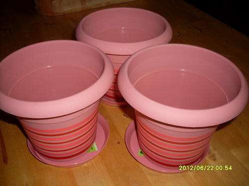 Baba Gardening Pots x 3 (Pink)