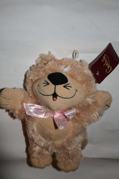 Adorable Sandy Kitty