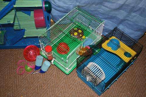 Hamster Cage x 2 - Connected with tunnel