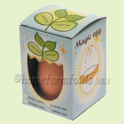 Awesome! Magic Egg Plant - Says "I love you"