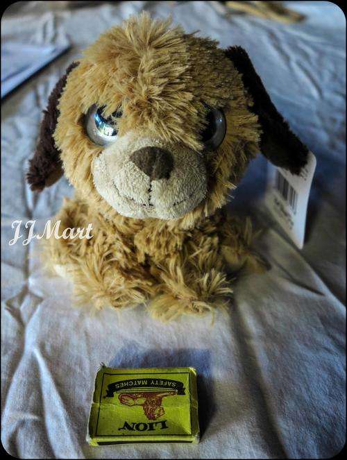 Adorable Soft Cuddly Puppy