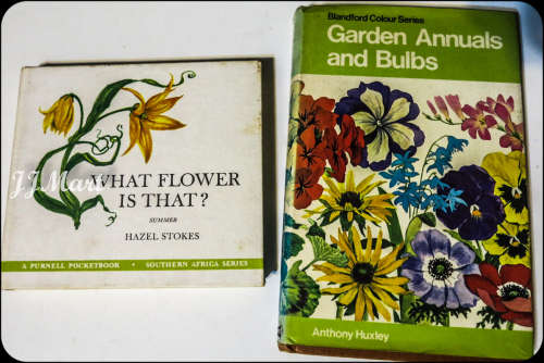 Hard cover flower book x 2