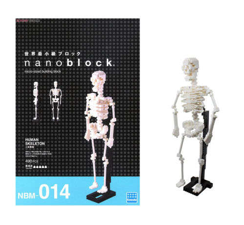 Nanoblock Human Skeleton