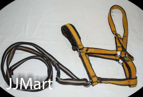Horse's Bridle