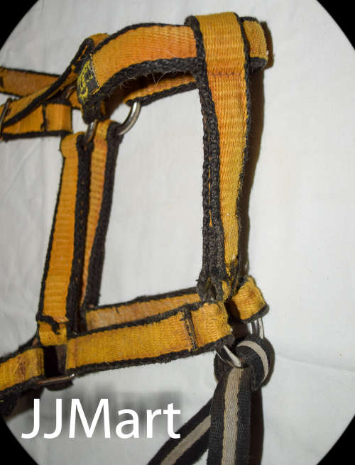 Horse's Bridle