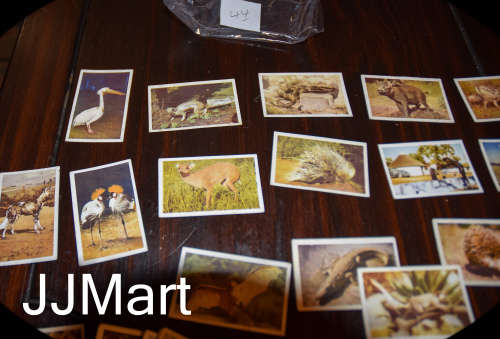 44 X Vintage Cigarette Cards SA National parks - 1940!