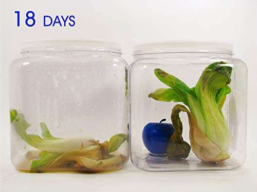 Bluapple Classic One Year Combo Pack