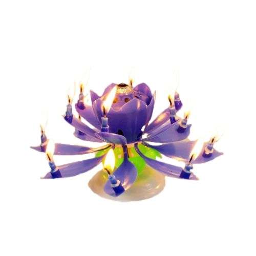 4 pcs Magic Musical Flower Music Candles Lotus Flower Candle Birthday Candles Romantic Gift
