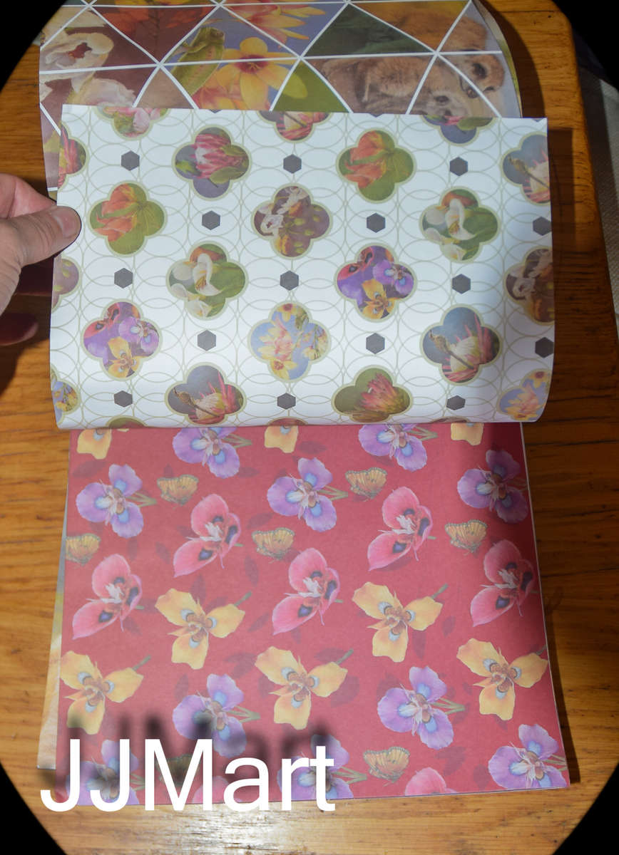 Craft / School Book / Gift Wrapping Pad - Young and wild