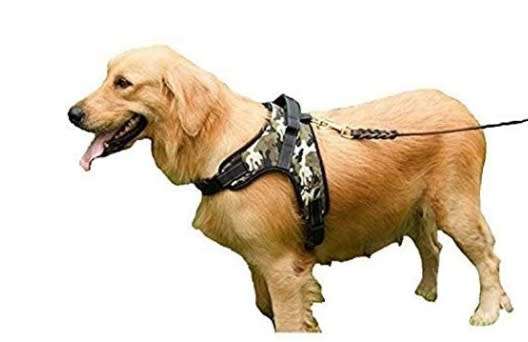 Equine Craft Body Harness Size : Medium - Heavy Duty, Strong Durable & Waterproof