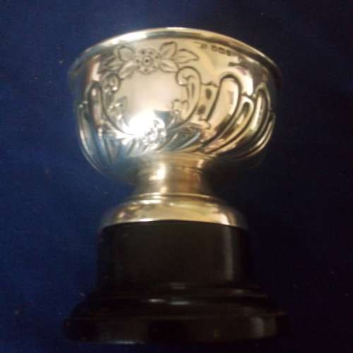 HALLMARKED STERLING SILVER BOWL/TROPHY