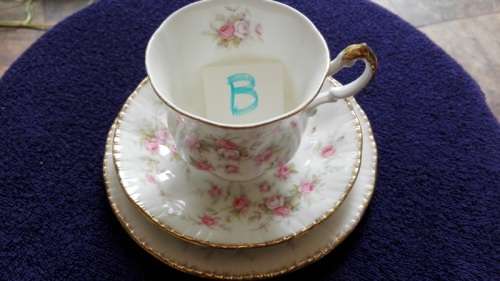 B - PARAGON CHINA - "VICTORIANA ROSE" TRIO!!!