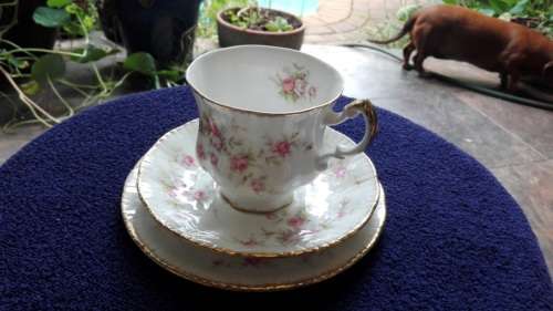 E - PARAGON CHINA - "VICTORIANA ROSE" TRIO!!!