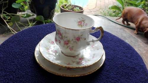 E - PARAGON CHINA - "VICTORIANA ROSE" TRIO!!!
