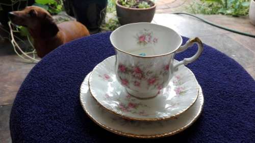 F - PARAGON CHINA - "VICTORIANA ROSE" TRIO!!!