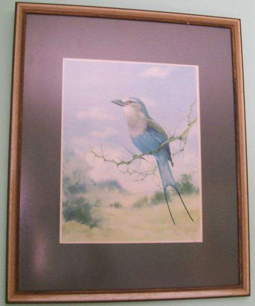 FRAMED BIRD PRINT