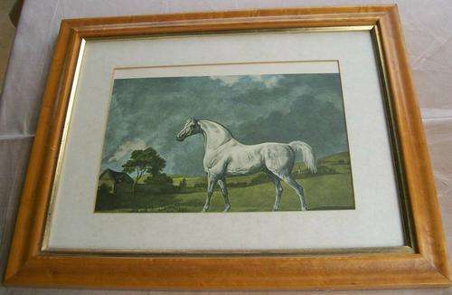 FRAMED REPRODUCTION PRINT OF HORSE
