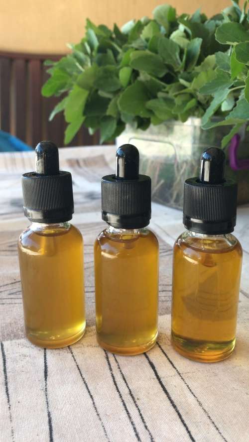 Cannabis Indica Seeds