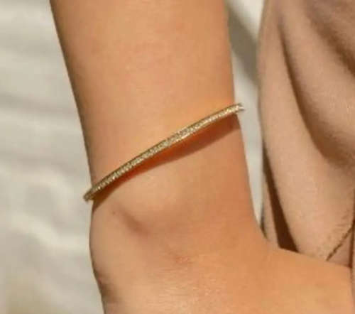 Gorgeous Cubic Zirconia Stainless Steel Clip Bangle in Velvet Jewellery Box