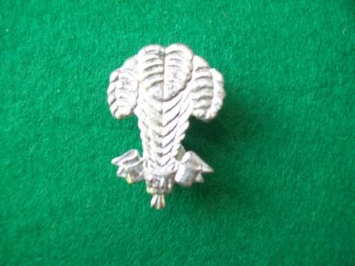 SADF - 1 SAI Beret Badge ( 2 x pins intact )