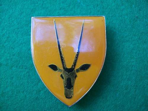 SADF 8 SAI Shoulder Flash ( 3 x pins )