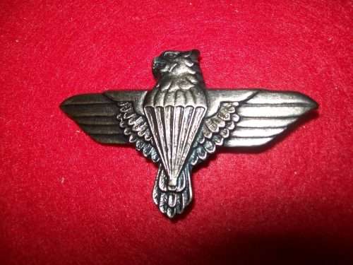 44 Para Brigade , Grey Metal Beret Badge ( 2 x screws  intact )
