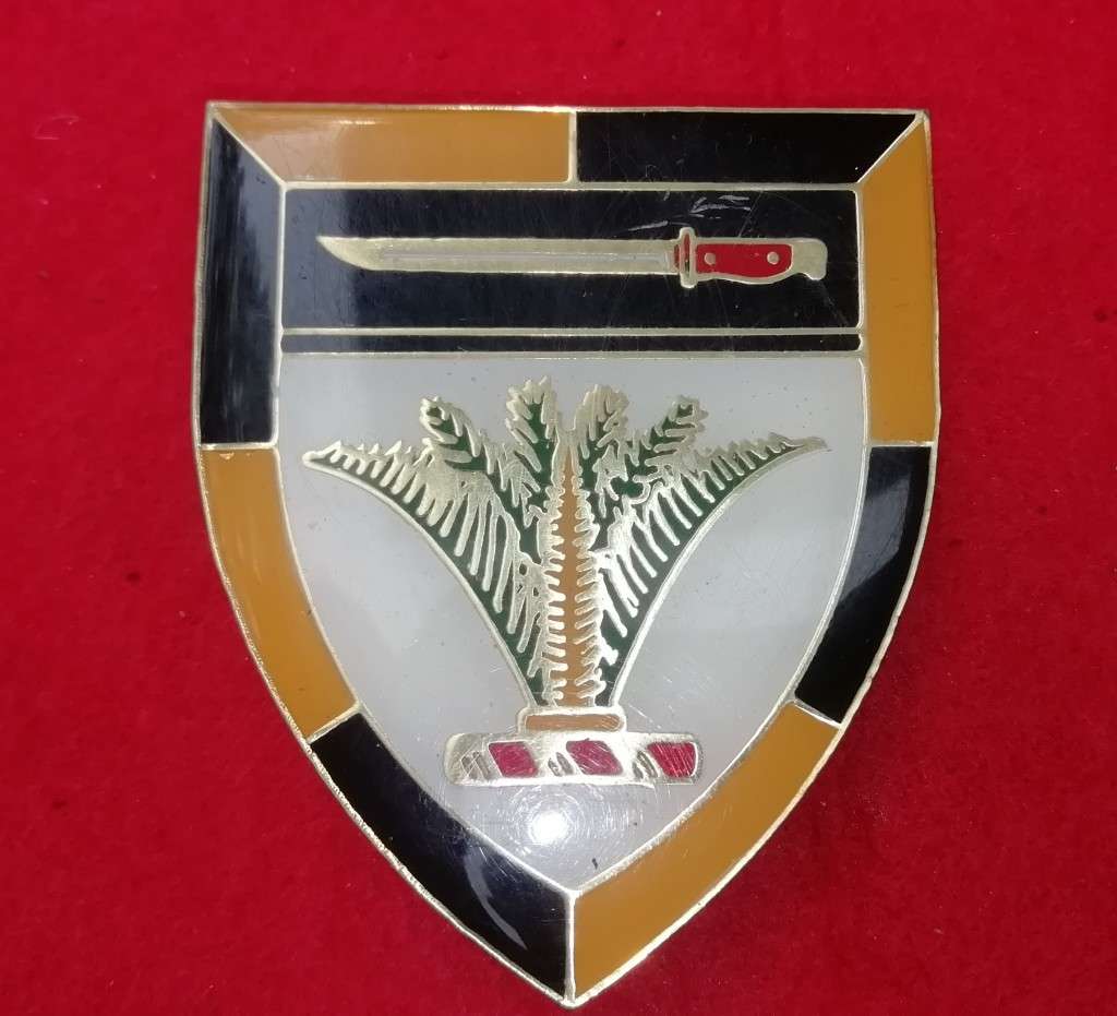 SWA SECTOR 10 TRAINING UNIT FLASH - PINS INTACT