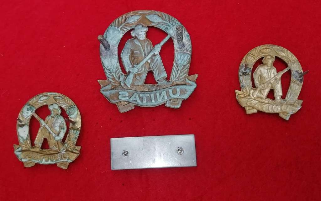 COMMANDO SET - COLLAR BADGES FACING EACH OTHER - PINS INTACT