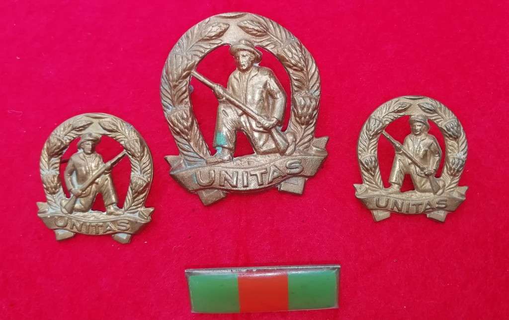 COMMANDO SET - COLLAR BADGES FACING EACH OTHER - PINS INTACT