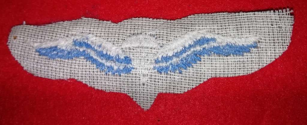 SADF BASIC PARACHUTE CLOTH WING 1ST TYPE