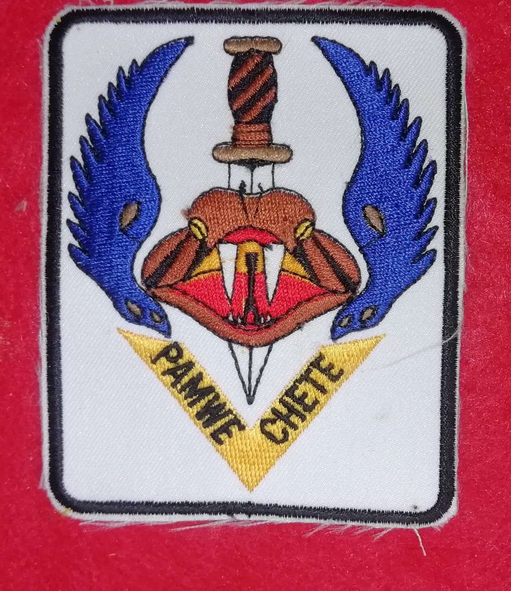 PAMWE CHETE REPRODUCTION PATCH