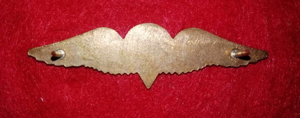 SADF PARATROOPER BASIC MESS DRESS WING