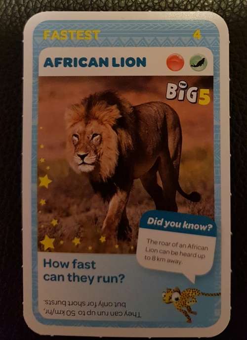 PICK N PAY ANIMAL CARD - NUMBER 4 AFRICAN LION