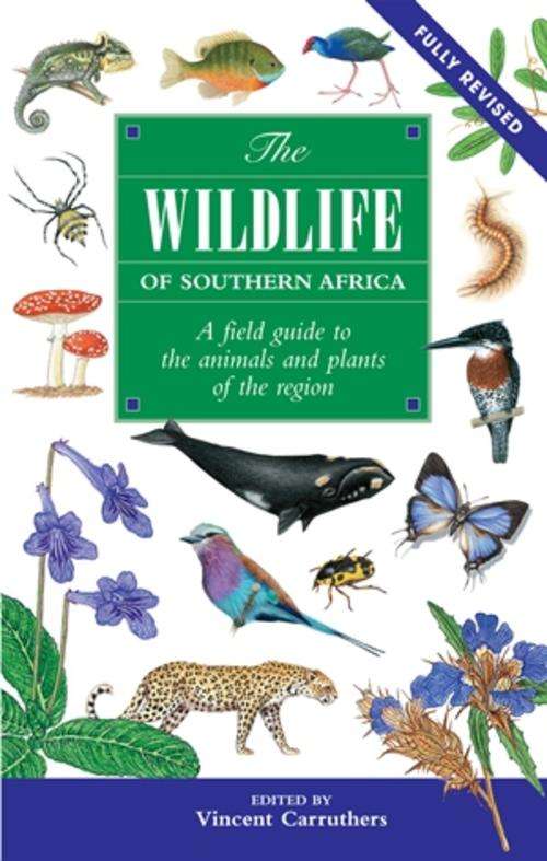 The Wildlife of Southern Africa Vincent Carruthers
