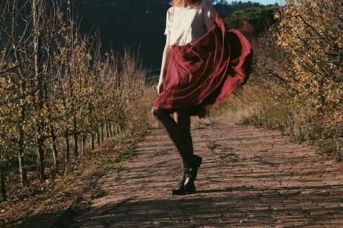 Maroon red mesh skirt / high waisted skirt / elastic belt / high waist maxi / circle skirt