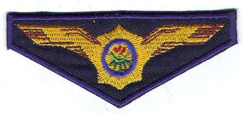 Police Pilot Wing (Cloth)