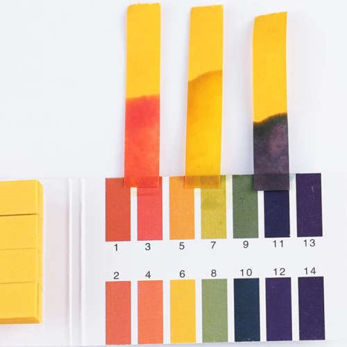 PH Testing Paper