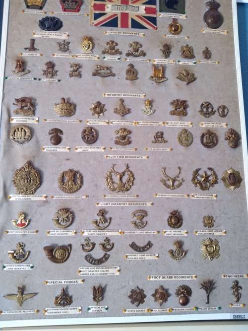 Display of British regimental cap/beret badges including Parachute Regiment, SAS