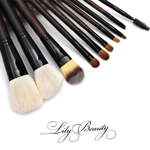 10 Pc Deep Wood Makeup Brush Set