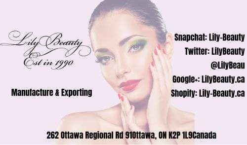 10 Pc Deep Wood Makeup Brush Set