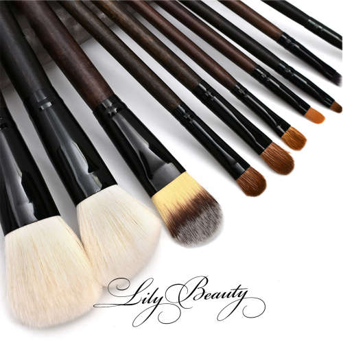 10 Pc Deep Wood Makeup Brush Set