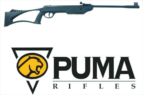 Puma Air Gun + Gamo 4x32 WR Scope