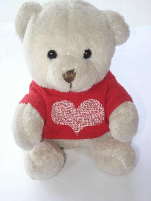 White Teddy Bear with "I Love you" Jacket