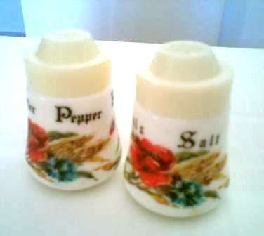 Salt and Pepper Set Bottles with Plastic Scew on Lids
