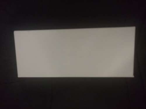 Authentic Polaroid Sunglasses - Brown frames / Copper Brown lenses