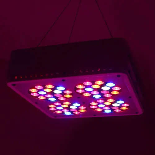 Apollo 4 full spectrum LED grow light
