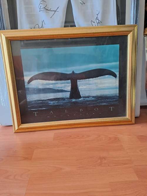 Talbot Megaptera,Whales tail,framed
