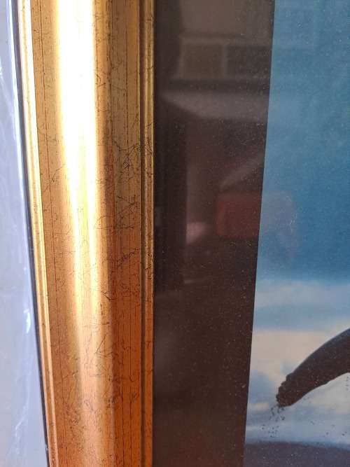 Talbot Megaptera,Whales tail,framed