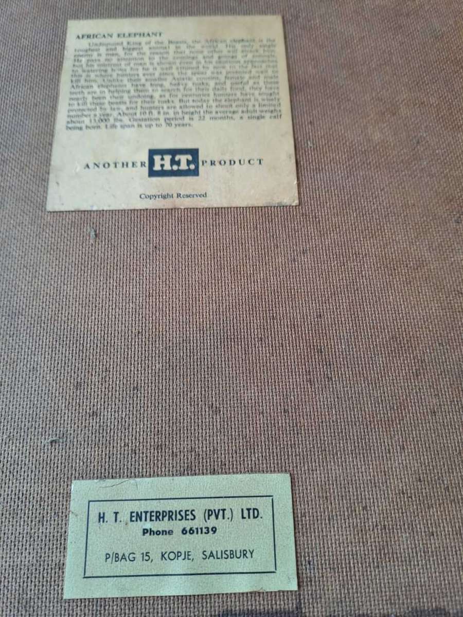 Copper African Elephant on Kudu skin, framed by HT Enterprises