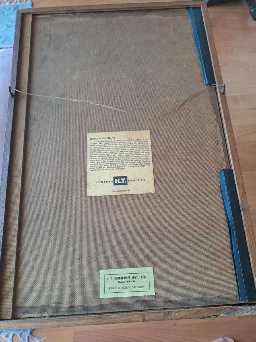 Copper African Elephant on Kudu skin, framed by HT Enterprises